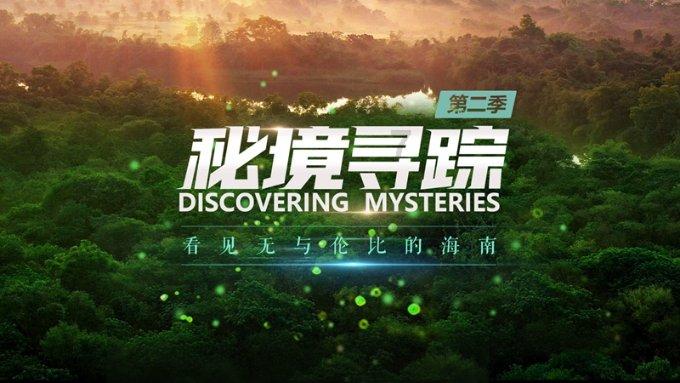数据分析收费标准